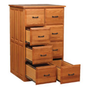 Double Vertical File - Image 3