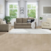 Dreamland Collection